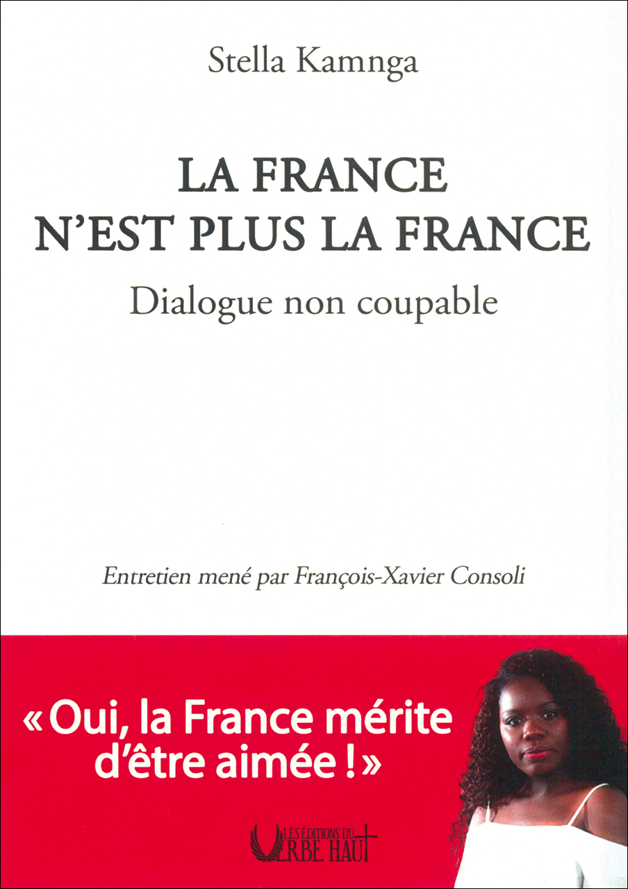 La France n´est plus la France - Dialogue non coupable